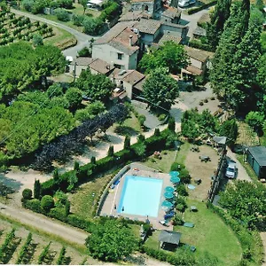 Ripabuia Marcialla