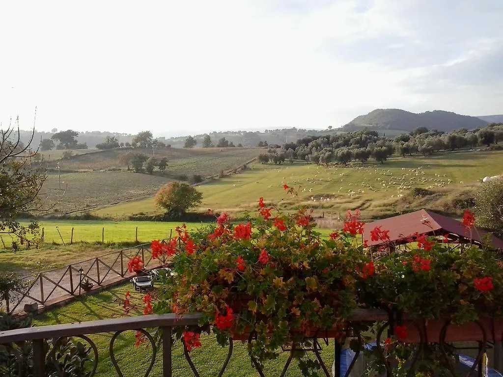 Agriturismo La Valle Degli Ulivi Semproniano Agroturismo