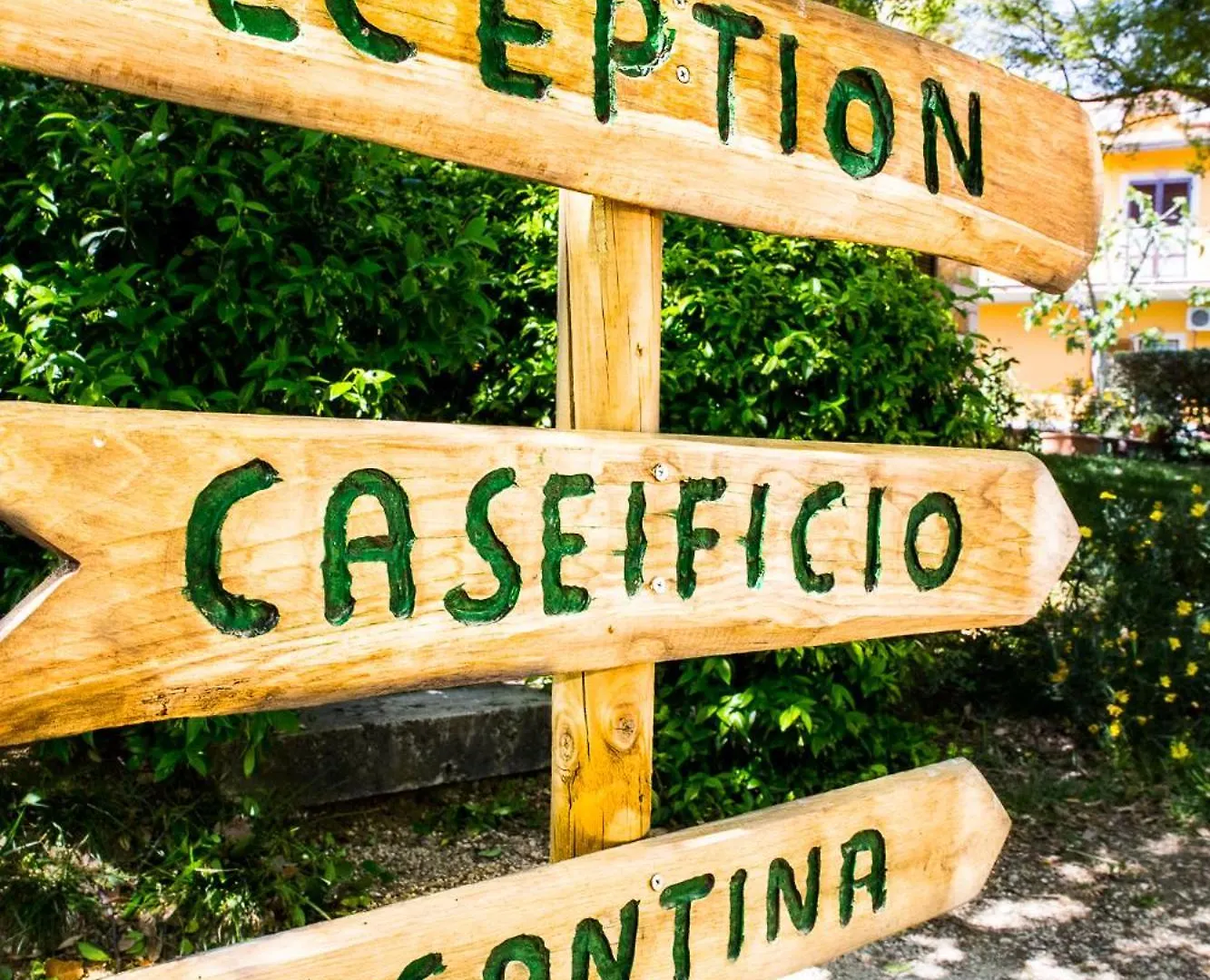 Agriturismo La Valle Degli Ulivi Semproniano